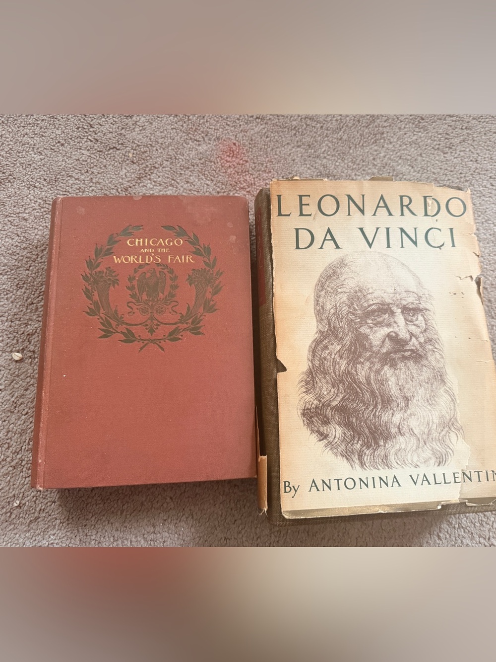 Unique Vintage Brown and Cream Leonardo da Vinci Hardcover Book Set
